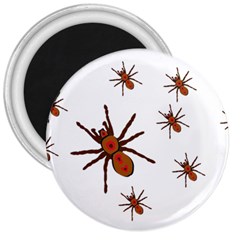 Nature Insect Natural Wildlife 3  Magnets by Sapixe