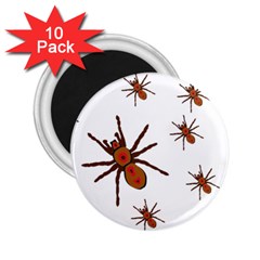 Nature Insect Natural Wildlife 2 25  Magnets (10 Pack)  by Sapixe