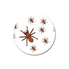 Nature Insect Natural Wildlife Magnet 3  (round) by Sapixe