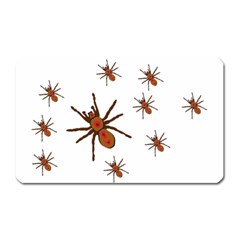 Nature Insect Natural Wildlife Magnet (rectangular) by Sapixe