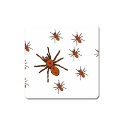 Nature Insect Natural Wildlife Square Magnet by Sapixe