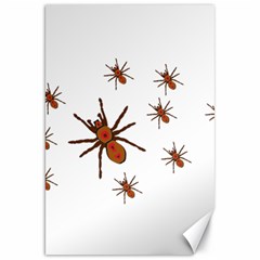 Nature Insect Natural Wildlife Canvas 20  X 30   by Sapixe