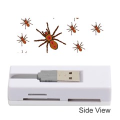 Nature Insect Natural Wildlife Memory Card Reader (stick)  by Sapixe