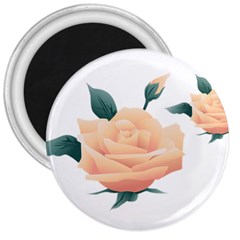 Rose Flower Nature Floral Summer 3  Magnets