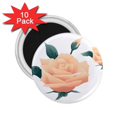 Rose Flower Nature Floral Summer 2 25  Magnets (10 Pack) 