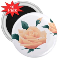 Rose Flower Nature Floral Summer 3  Magnets (10 Pack) 