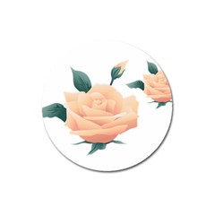 Rose Flower Nature Floral Summer Magnet 3  (round)