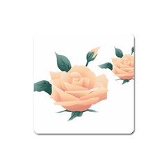 Rose Flower Nature Floral Summer Square Magnet