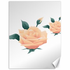 Rose Flower Nature Floral Summer Canvas 18  X 24  