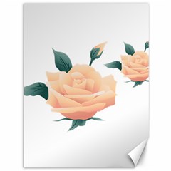 Rose Flower Nature Floral Summer Canvas 36  X 48  