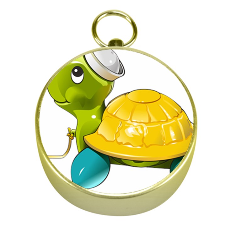 Turtle Sea Turtle Leatherback Turtle Gold Compasses