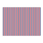 USA Flag Red and Flag Blue Narrow Thin Stripes  Double Sided Flano Blanket (Mini)  35 x27  Blanket Back