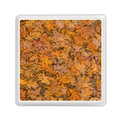 Leaves Motif Pattern Photo 2 Memory Card Reader (square)  by dflcprints