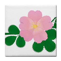 Rose Flower Briar Pink Flowers Tile Coasters by Sapixe