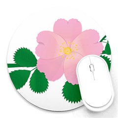 Rose Flower Briar Pink Flowers Round Mousepads by Sapixe