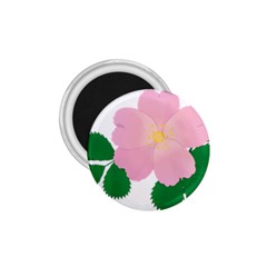 Rose Flower Briar Pink Flowers 1 75  Magnets by Sapixe