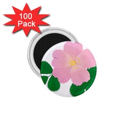 Rose Flower Briar Pink Flowers 1 75  Magnets (100 Pack)  by Sapixe