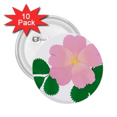 Rose Flower Briar Pink Flowers 2 25  Buttons (10 Pack)  by Sapixe