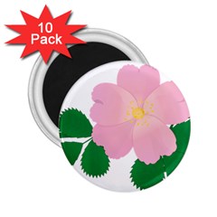 Rose Flower Briar Pink Flowers 2 25  Magnets (10 Pack)  by Sapixe