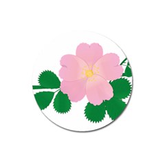 Rose Flower Briar Pink Flowers Magnet 3  (round) by Sapixe