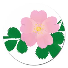 Rose Flower Briar Pink Flowers Magnet 5  (round) by Sapixe