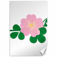 Rose Flower Briar Pink Flowers Canvas 12  X 18   by Sapixe