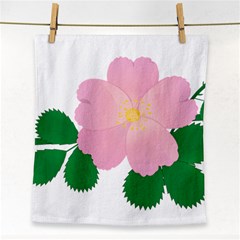 Rose Flower Briar Pink Flowers Face Towel by Sapixe