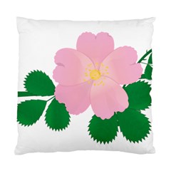 Rose Flower Briar Pink Flowers Standard Cushion Case (two Sides) by Sapixe