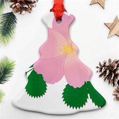 Rose Flower Briar Pink Flowers Christmas Tree Ornament (two Sides) by Sapixe