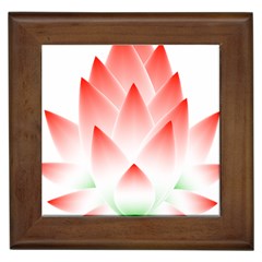 Lotus Flower Blossom Abstract Framed Tiles by Sapixe