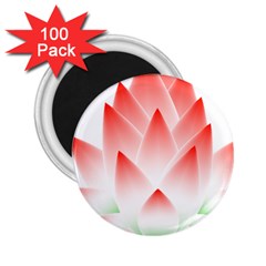 Lotus Flower Blossom Abstract 2 25  Magnets (100 Pack)  by Sapixe