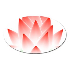 Lotus Flower Blossom Abstract Oval Magnet by Sapixe