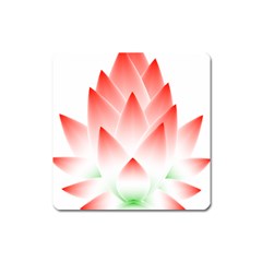 Lotus Flower Blossom Abstract Square Magnet by Sapixe