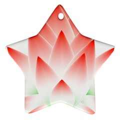 Lotus Flower Blossom Abstract Star Ornament (two Sides) by Sapixe