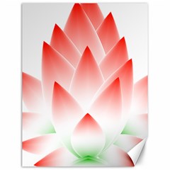 Lotus Flower Blossom Abstract Canvas 12  X 16   by Sapixe