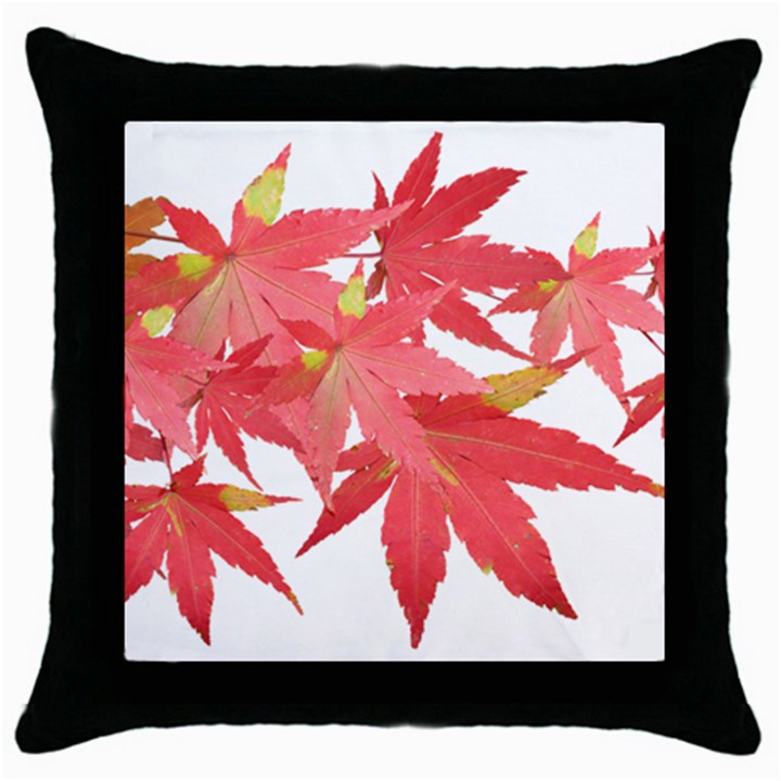 Leaves Maple Branch Autumn Fall Throw Pillow Case (Black)