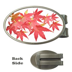 Leaves Maple Branch Autumn Fall Money Clips (oval)  by Sapixe