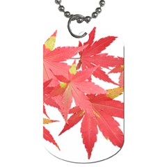 Leaves Maple Branch Autumn Fall Dog Tag (one Side) by Sapixe