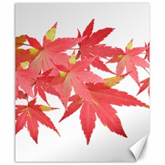 Leaves Maple Branch Autumn Fall Canvas 20  X 24   by Sapixe