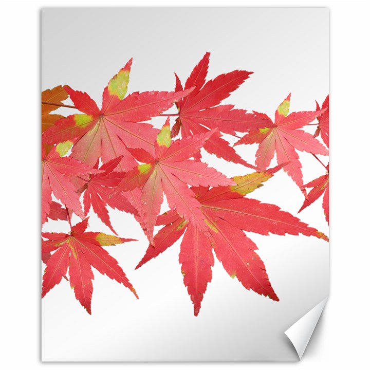 Leaves Maple Branch Autumn Fall Canvas 11  x 14  