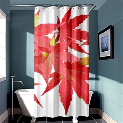 Leaves Maple Branch Autumn Fall Shower Curtain 36  X 72  (stall)  by Sapixe