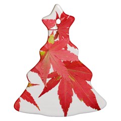 Leaves Maple Branch Autumn Fall Christmas Tree Ornament (two Sides) by Sapixe