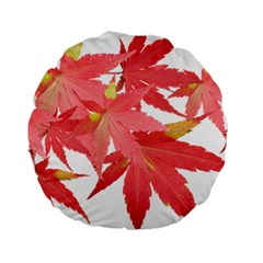 Leaves Maple Branch Autumn Fall Standard 15  Premium Round Cushions by Sapixe