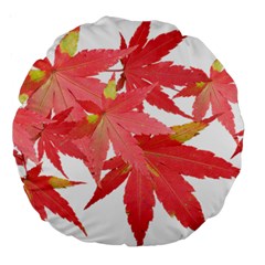 Leaves Maple Branch Autumn Fall Large 18  Premium Round Cushions by Sapixe