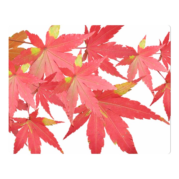 Leaves Maple Branch Autumn Fall Double Sided Flano Blanket (Large) 