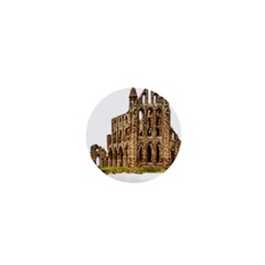 Ruin Monastery Abbey Gothic Whitby 1  Mini Buttons by Sapixe