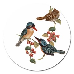 Bird Birds Branch Flowers Vintage Magnet 5  (round) by Sapixe