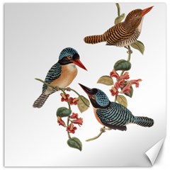 Bird Birds Branch Flowers Vintage Canvas 12  X 12   by Sapixe