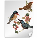 Bird Birds Branch Flowers Vintage Canvas 12  x 16   11.86 x15.41  Canvas - 1