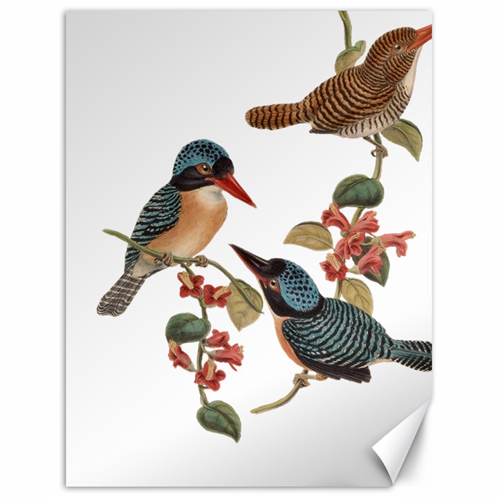 Bird Birds Branch Flowers Vintage Canvas 12  x 16  